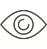 Vision icon